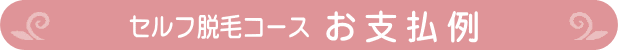 セルフ脱毛お支払例