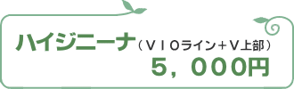 ハイジニーナ脱毛5000円
