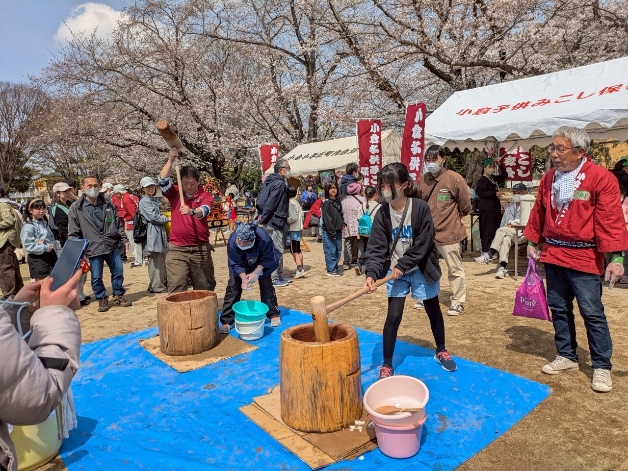 桜まつりのおもひで