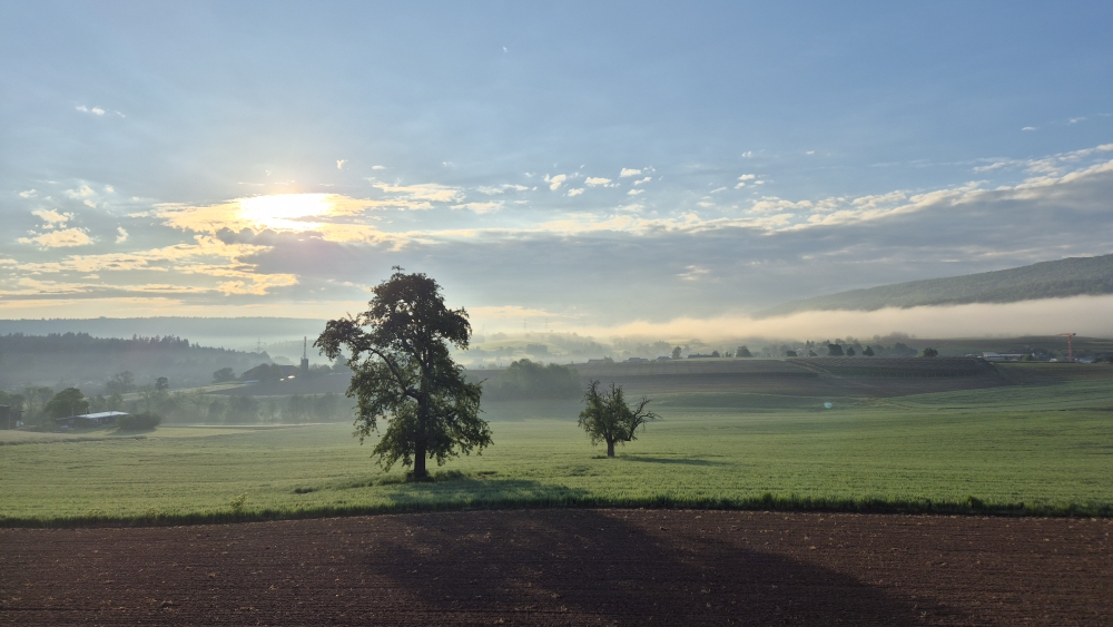 Morgensonne im Mai