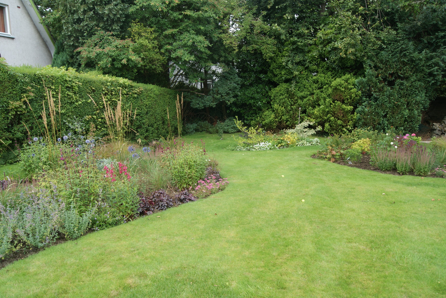 Bearsden Garden Planting Design Mhairi Auld Landscape Gardener Garden Design Bespoke