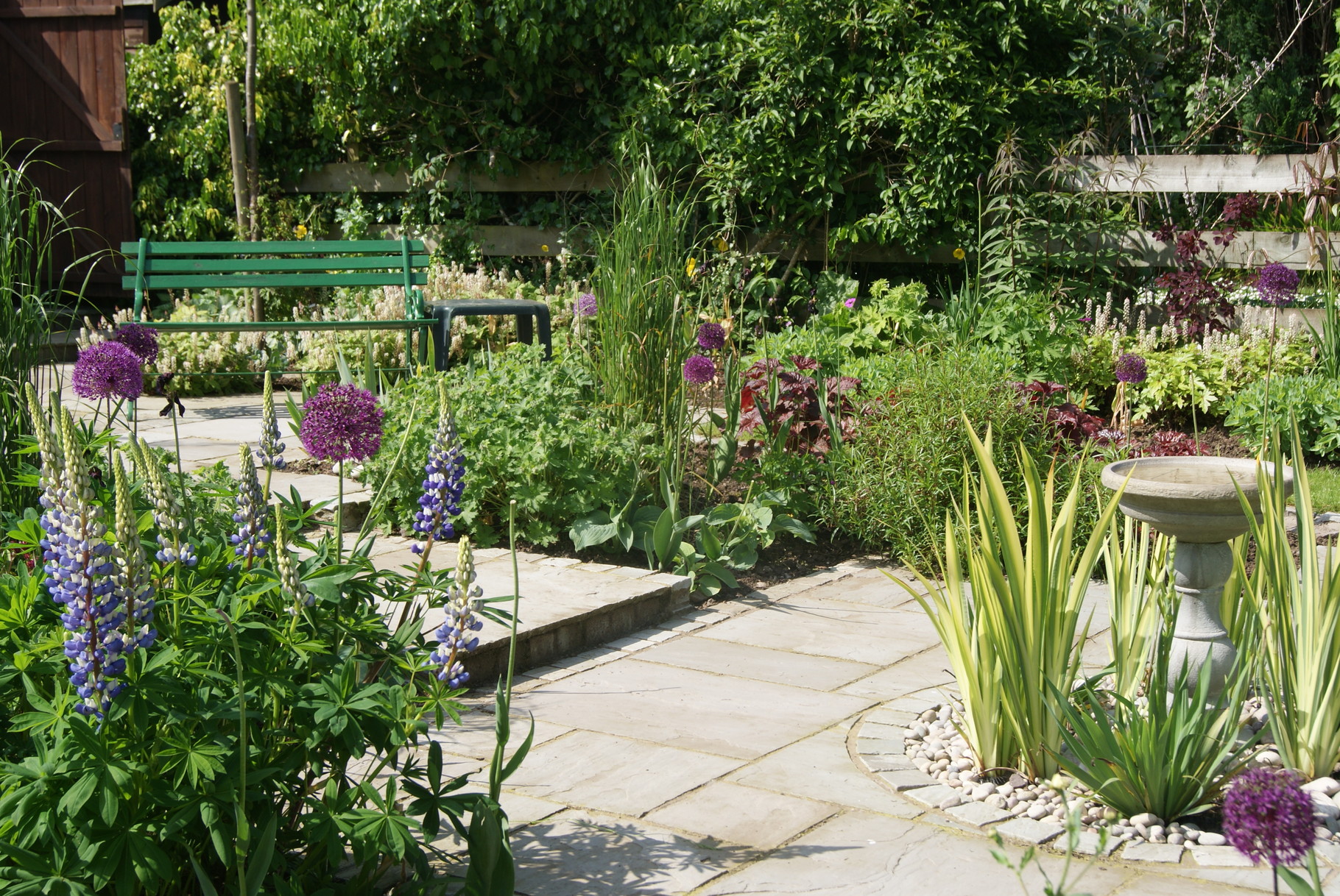 Small Milngavie Garden Mhairi Auld Landscape Gardener Garden