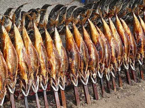 Fisch Rosenheim Fisch Rosenheim