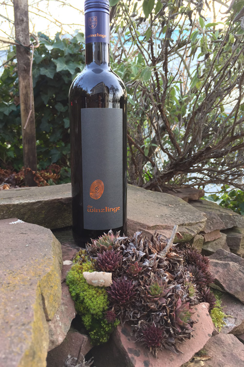 Logo & Branding | Die Winzlinge - Weingut Aeschbach