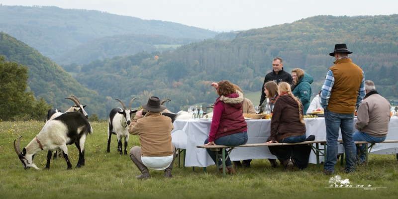 Fischerhof Reckenthal, Wanderreiten im Westerwald, Deutschland und Europa, © RossFoto Dana Krimmling