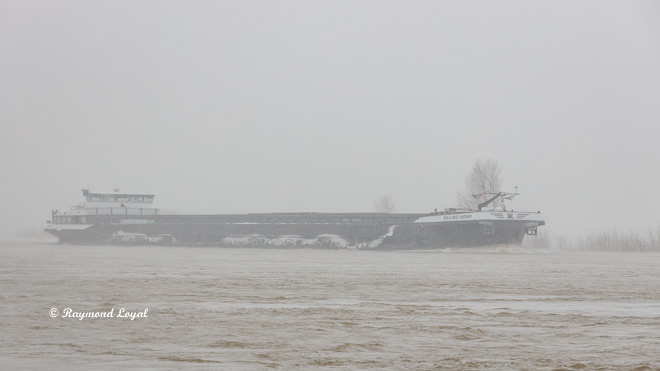 schiff rhein fluss wasser regen nebel landschaft