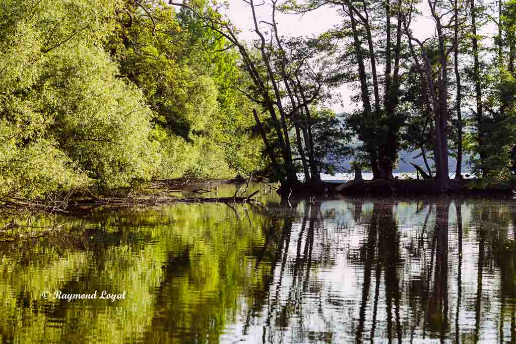 natur fotografie