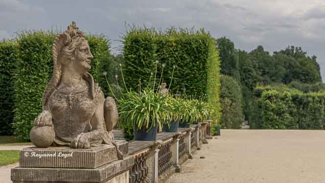 barockgarten grosssedlitz sphinx