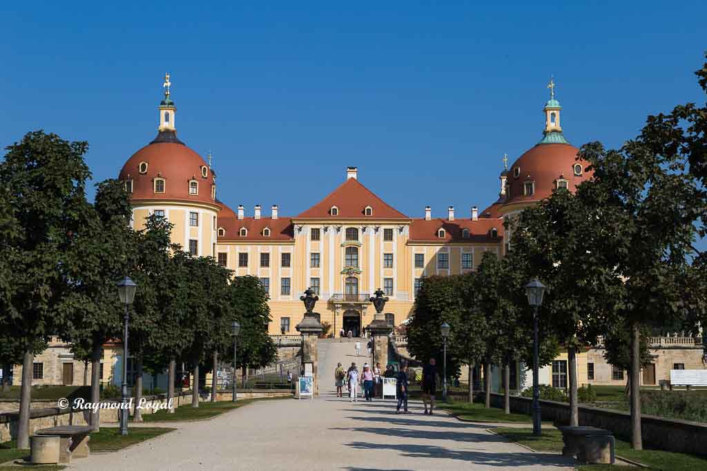 avenue to moritzburg palace