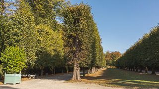 schloss benrath oestliche faecherallee