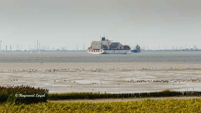 containerschiff seeschiff fluss elbe