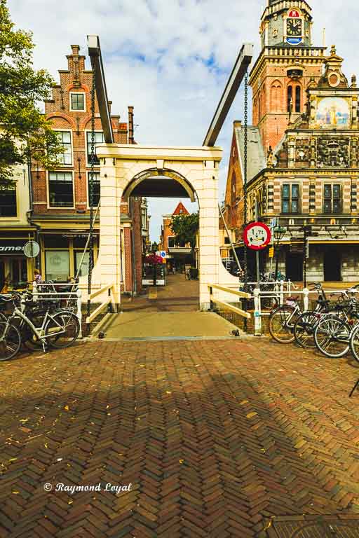 schapenbrug alkmaar