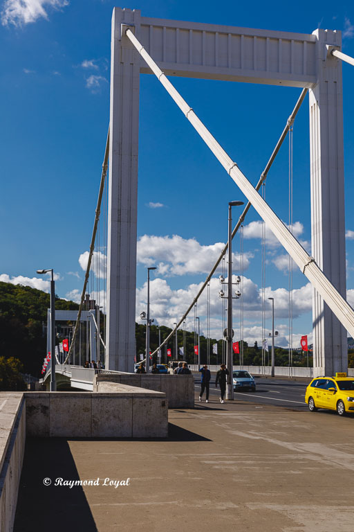 budapest elizabeth bridge