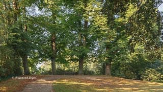 linn castle landscape garden