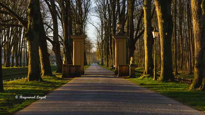 schloss nordkirchen sphinx lindenallee