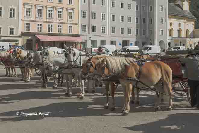 salzburg