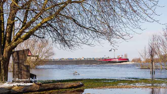 hochwasser am niederrhein