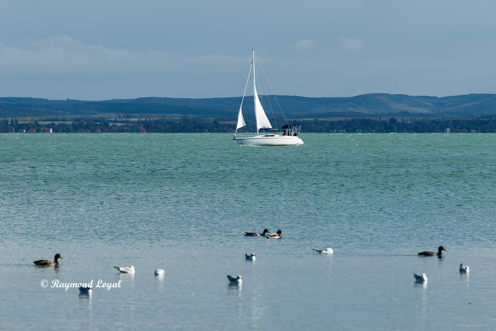 balatonfuered lake balaton image