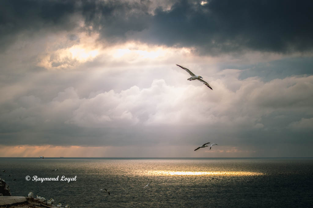 nature photography