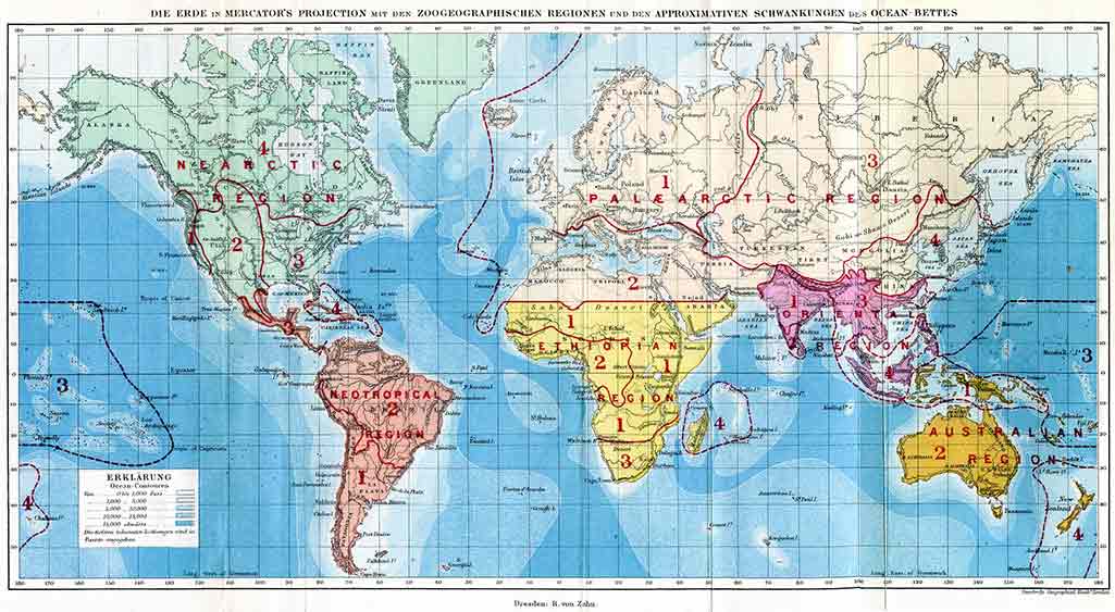 zoogeografische regionen alfred russel wallace