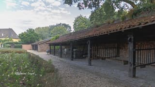 burg linn vorburg