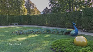 dresden schloss pillnitz gartenanlage