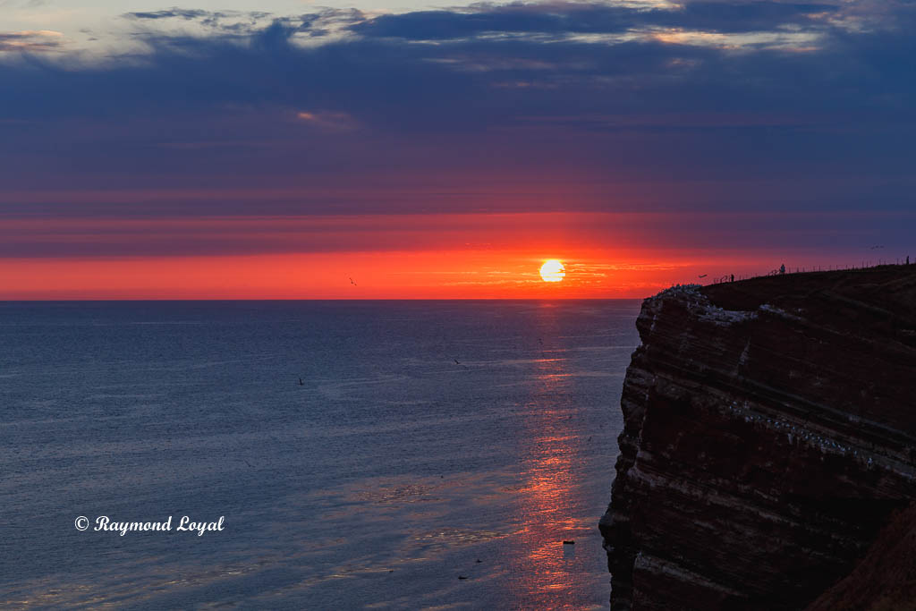 Helgoland nature images