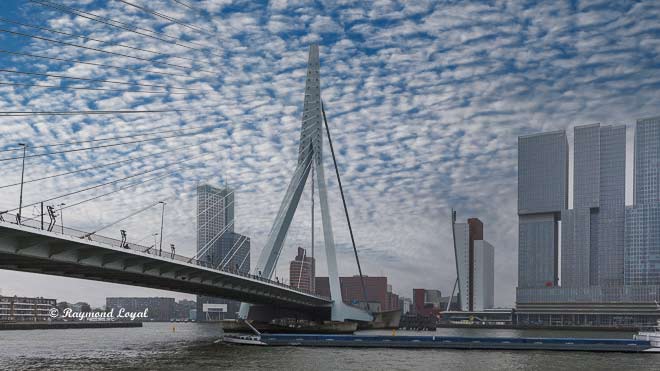 erasmus-bruecke rotterdam