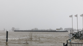 high water on the river rhine