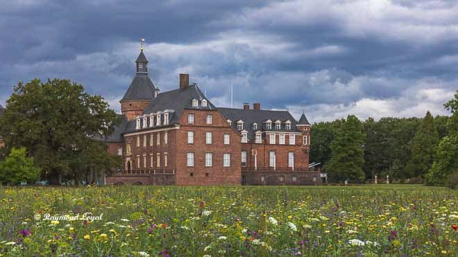 schloss wasserburg anholt wildblumenwiese