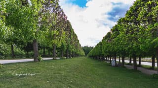 schloss augustusburg bruehl broderieparterre treillagen