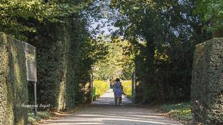 schloss benrath