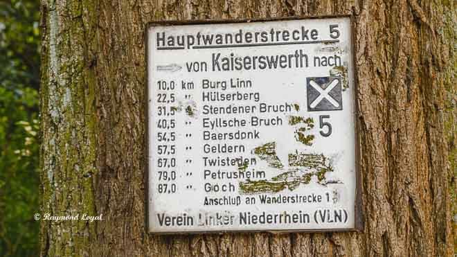 burg linn