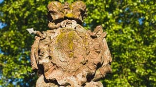 schloss wasserburg anholt wappen ornament