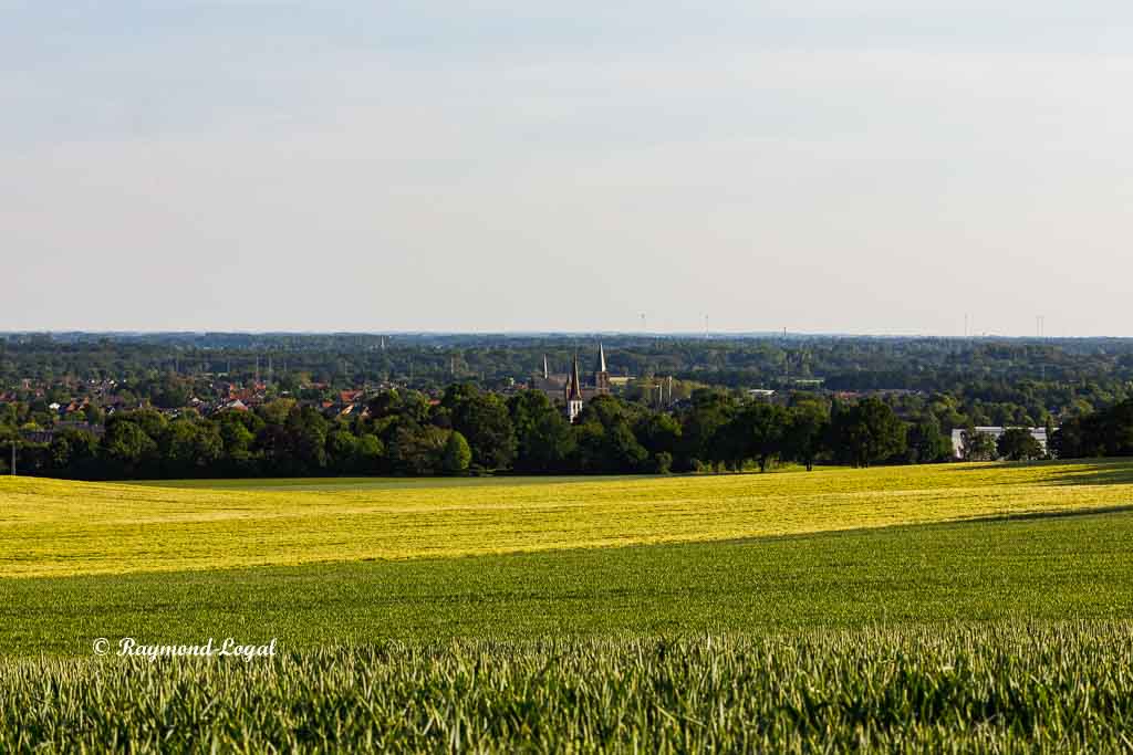 nature photography