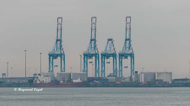 container bridges zeebrugge
