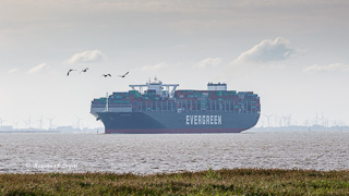 Seeschiff Containerschiff Elbe 