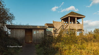 beobachtungsstand oppenweher moor