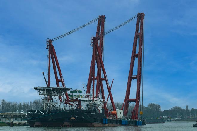 floating crane at rotterdam waalhaven
