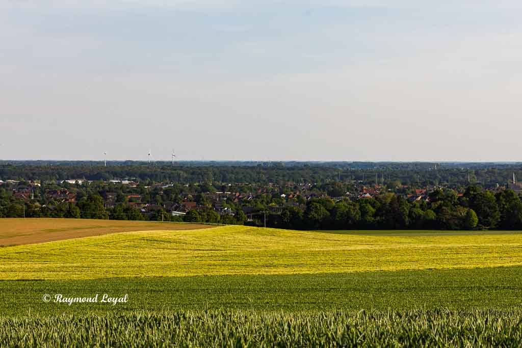 nature photography