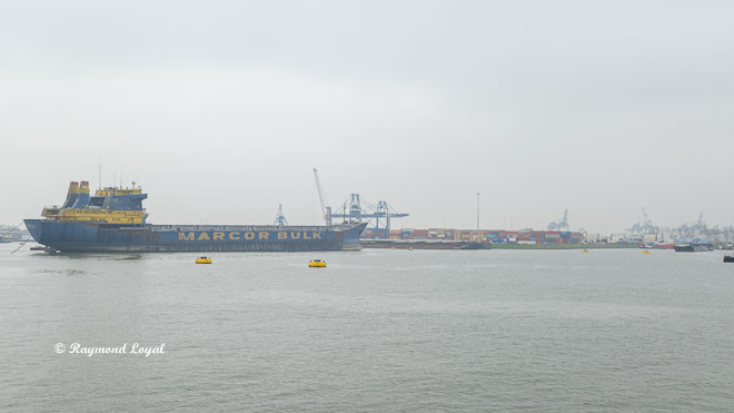 rotterdam seehafen waalhaven bulk carrier