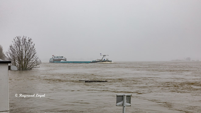 high water on the river rhine