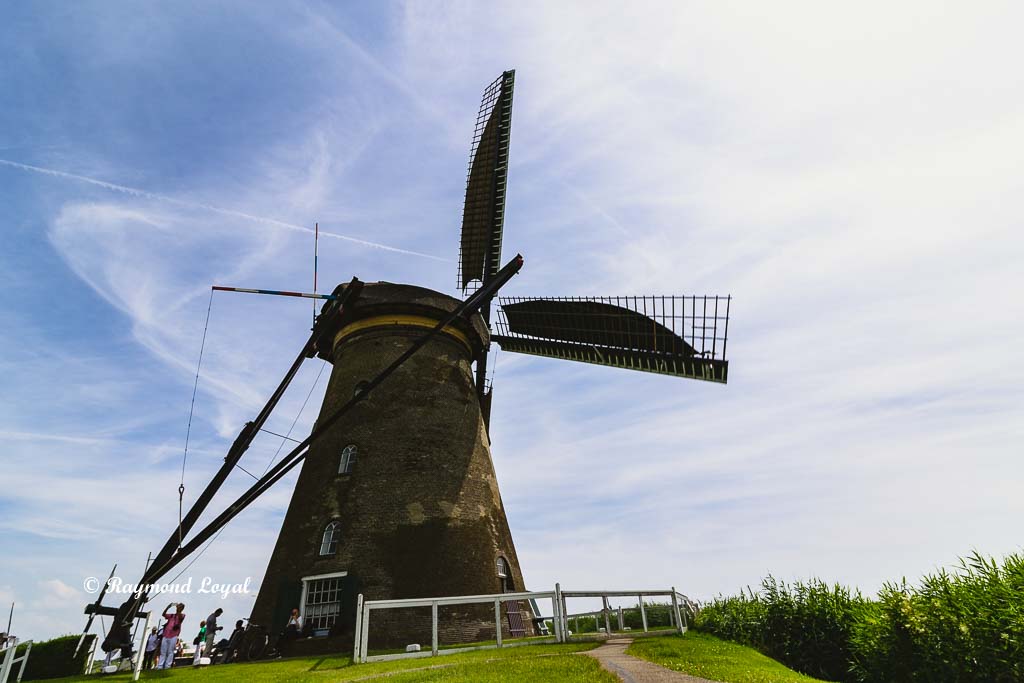 kinderdijk windmill image
