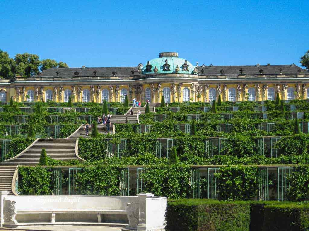 sanssouci palace potsdam vineyard terraces