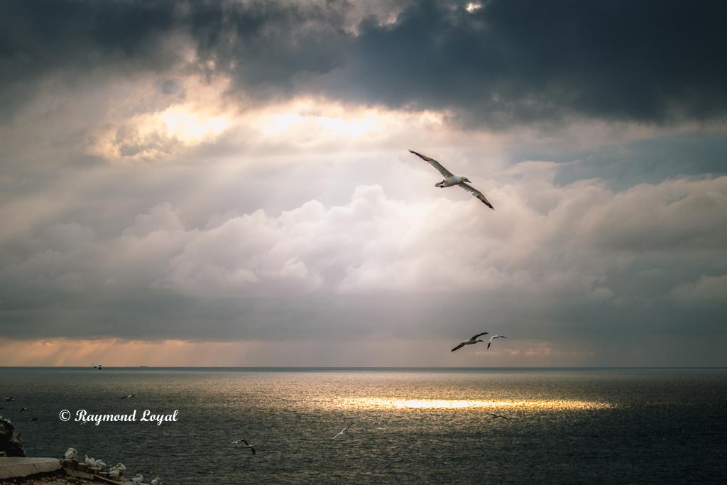 helgoland natur foto wolken basstoelpel