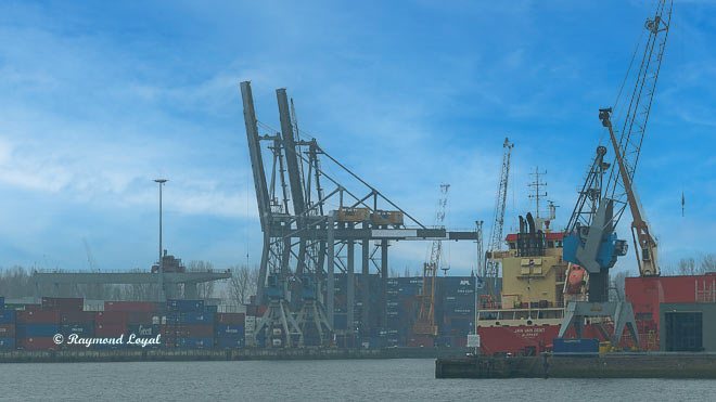 rotterdam hafen waalhaven containerbruecken hafenbecken schiffe