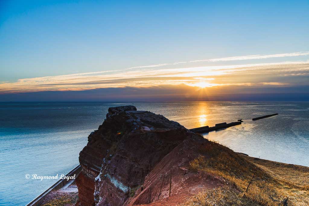 helgoland nature images