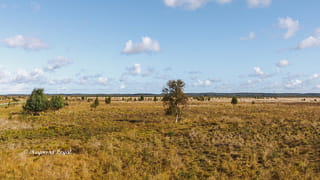 rehdener geestmoor