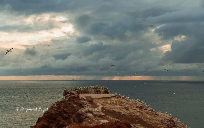 helgoland