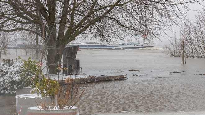 fluss rhein hochwasser landschaft wasser schiff